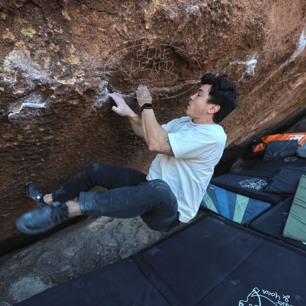 Filename: SRM_20251126_1516530.jpg
Aperture: f/4.0
Shutter Speed: 1/400
Body: Canon EOS R6
Lens: Canon EF 16-35mm f/2.8 L