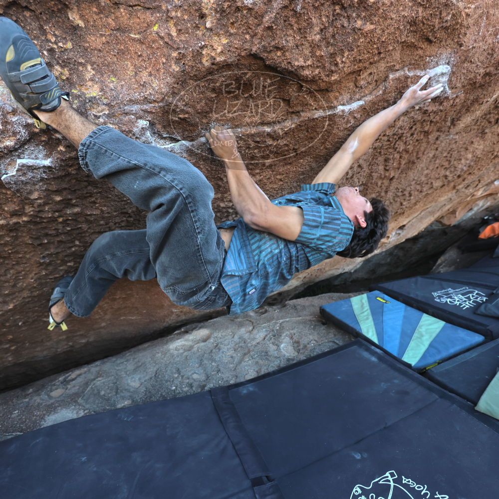 

Filename: SRM_20251126_1518360.jpg
Aperture: f/4.0
Shutter Speed: 1/400
Body: Canon EOS R6
Lens: Canon EF 16-35mm f/2.8 L