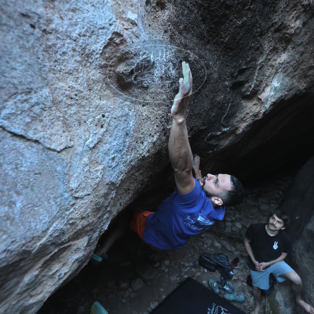 Filename: SRM_20251126_1541480.jpg
Aperture: f/4.0
Shutter Speed: 1/400
Body: Canon EOS R6
Lens: Canon EF 16-35mm f/2.8 L