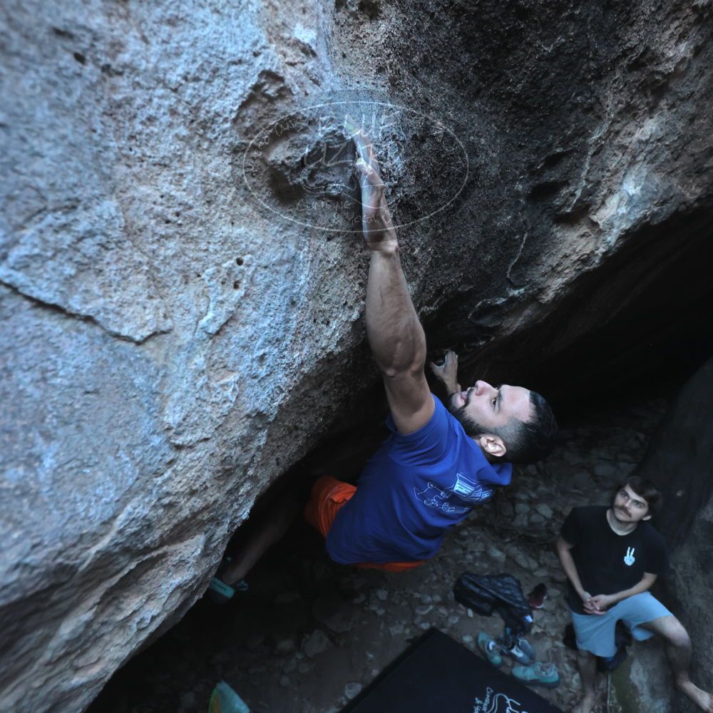 

Filename: SRM_20251126_1541481.jpg
Aperture: f/4.0
Shutter Speed: 1/400
Body: Canon EOS R6
Lens: Canon EF 16-35mm f/2.8 L