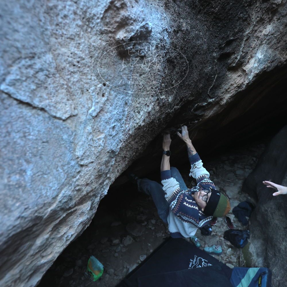 Filename: SRM_20251126_1542470.jpg
Aperture: f/4.0
Shutter Speed: 1/400
Body: Canon EOS R6
Lens: Canon EF 16-35mm f/2.8 L