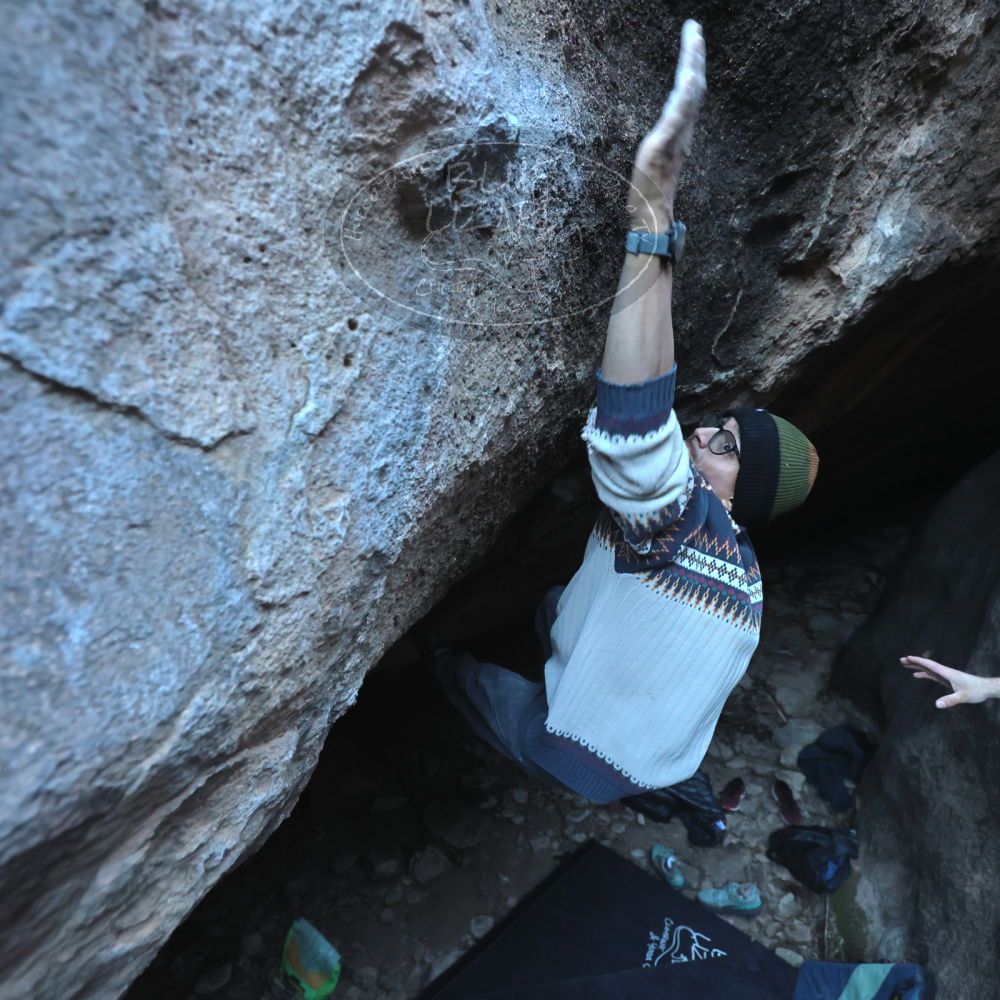 

Filename: SRM_20251126_1542480.jpg
Aperture: f/4.0
Shutter Speed: 1/400
Body: Canon EOS R6
Lens: Canon EF 16-35mm f/2.8 L