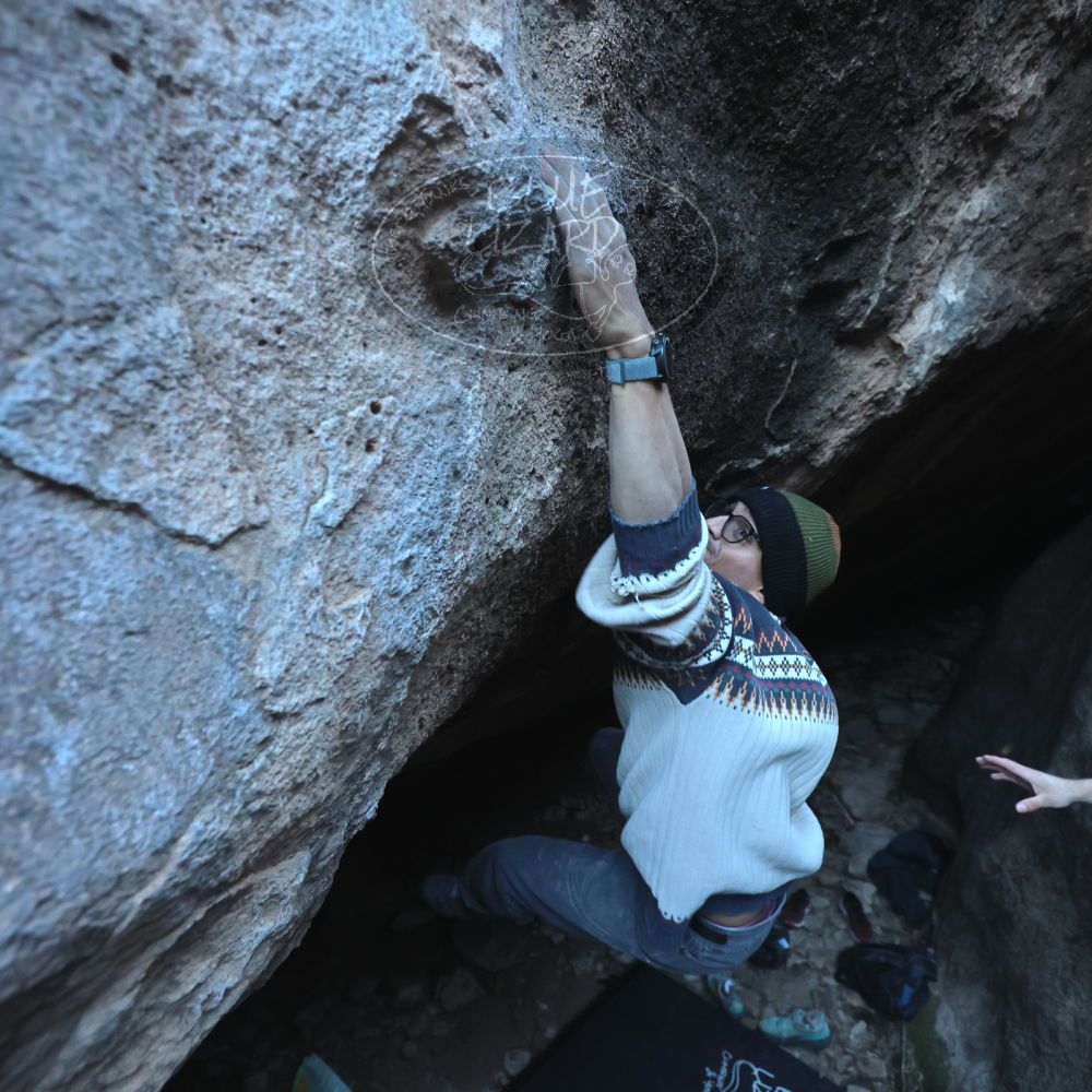 Filename: SRM_20251126_1542481.jpg
Aperture: f/4.0
Shutter Speed: 1/400
Body: Canon EOS R6
Lens: Canon EF 16-35mm f/2.8 L