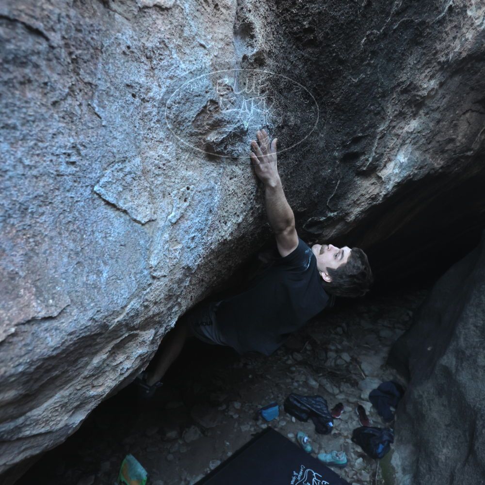 Filename: SRM_20251126_1543281.jpg
Aperture: f/4.0
Shutter Speed: 1/400
Body: Canon EOS R6
Lens: Canon EF 16-35mm f/2.8 L