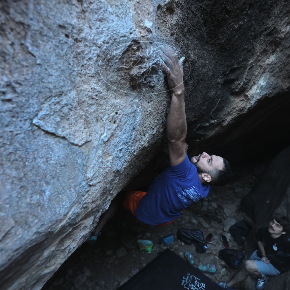 

Filename: SRM_20251126_1544501.jpg
Aperture: f/4.0
Shutter Speed: 1/400
Body: Canon EOS R6
Lens: Canon EF 16-35mm f/2.8 L