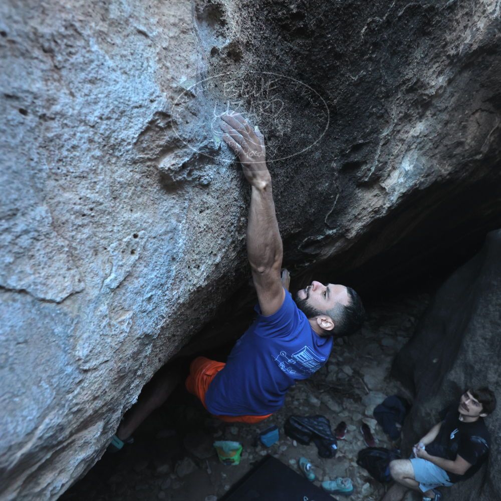 Filename: SRM_20251126_1545190.jpg
Aperture: f/4.0
Shutter Speed: 1/400
Body: Canon EOS R6
Lens: Canon EF 16-35mm f/2.8 L