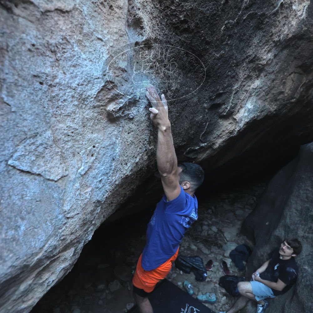 Filename: SRM_20251126_1545250.jpg
Aperture: f/4.0
Shutter Speed: 1/400
Body: Canon EOS R6
Lens: Canon EF 16-35mm f/2.8 L