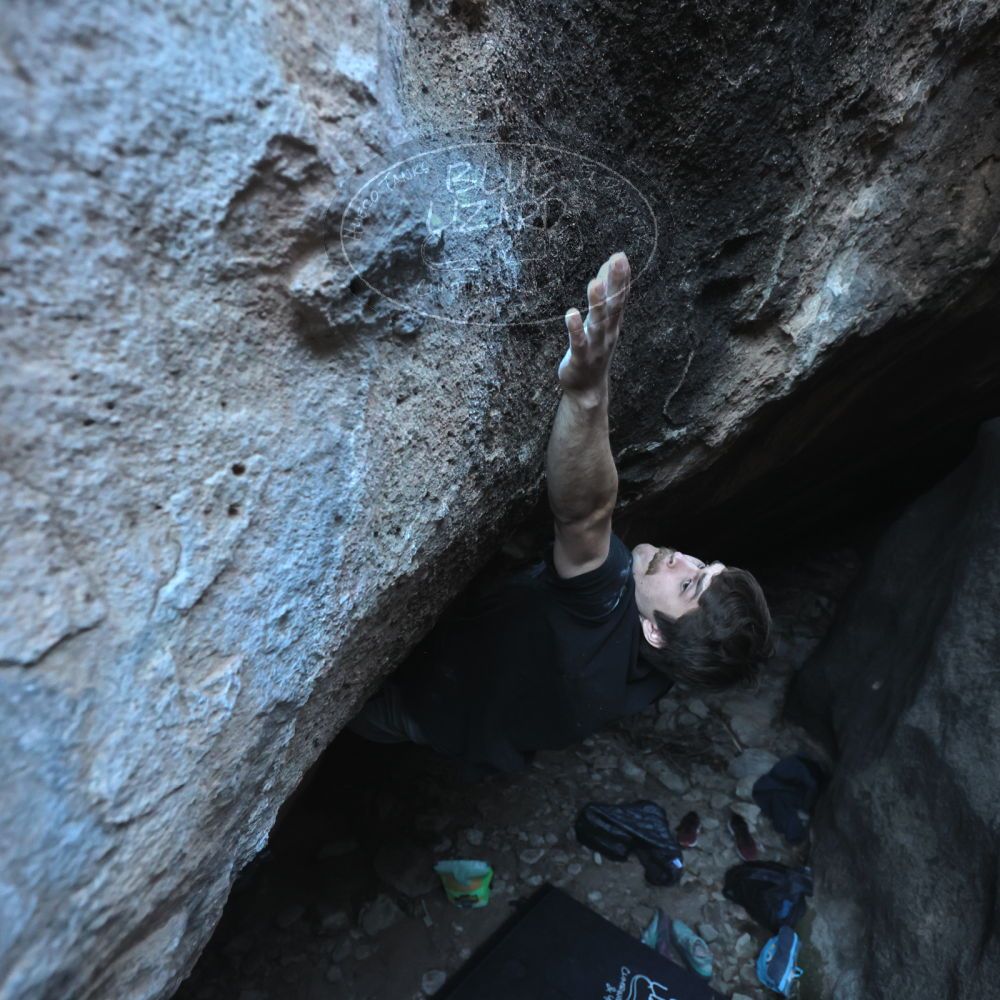 Filename: SRM_20251126_1547210.jpg
Aperture: f/4.0
Shutter Speed: 1/400
Body: Canon EOS R6
Lens: Canon EF 16-35mm f/2.8 L