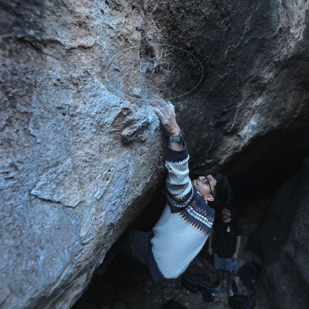 Filename: SRM_20251126_1548080.jpg
Aperture: f/4.0
Shutter Speed: 1/400
Body: Canon EOS R6
Lens: Canon EF 16-35mm f/2.8 L