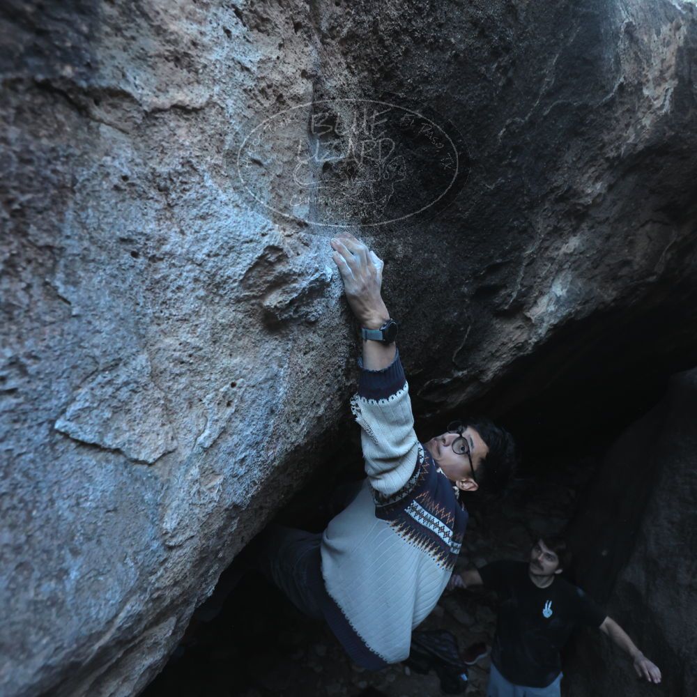 

Filename: SRM_20251126_1548111.jpg
Aperture: f/4.0
Shutter Speed: 1/400
Body: Canon EOS R6
Lens: Canon EF 16-35mm f/2.8 L