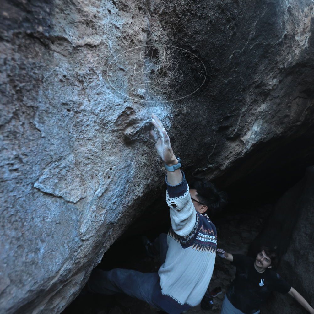 Filename: SRM_20251126_1548120.jpg
Aperture: f/4.0
Shutter Speed: 1/400
Body: Canon EOS R6
Lens: Canon EF 16-35mm f/2.8 L