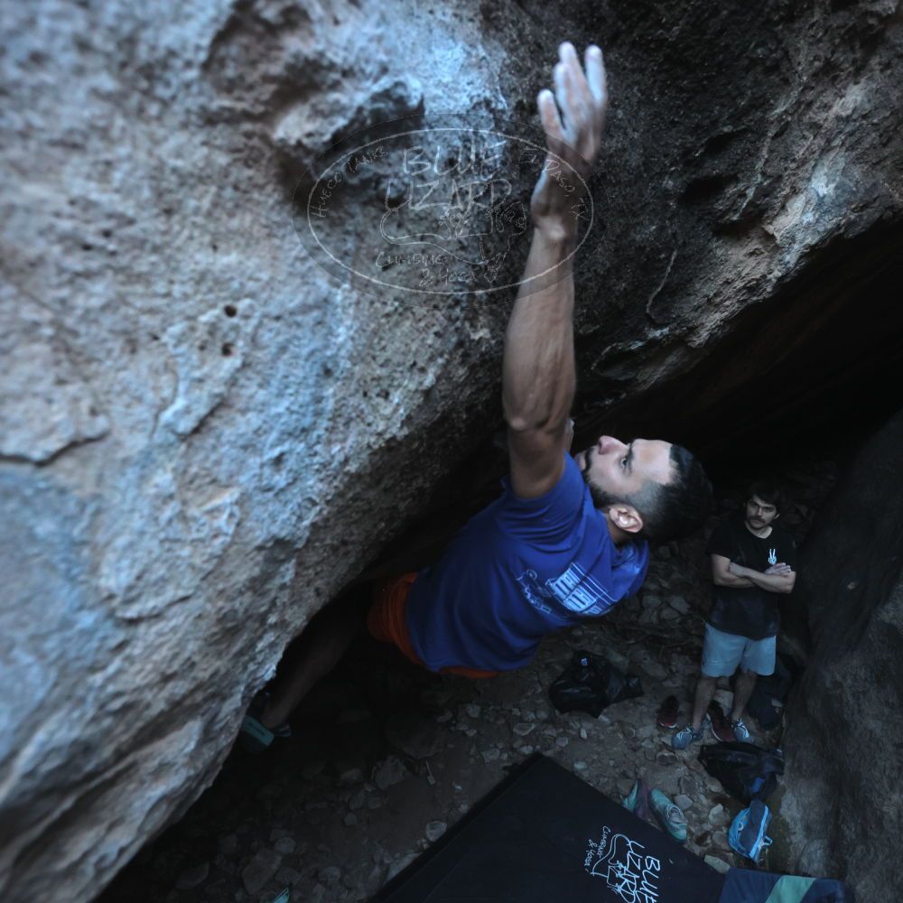 Filename: SRM_20251126_1550090.jpg
Aperture: f/4.0
Shutter Speed: 1/400
Body: Canon EOS R6
Lens: Canon EF 16-35mm f/2.8 L