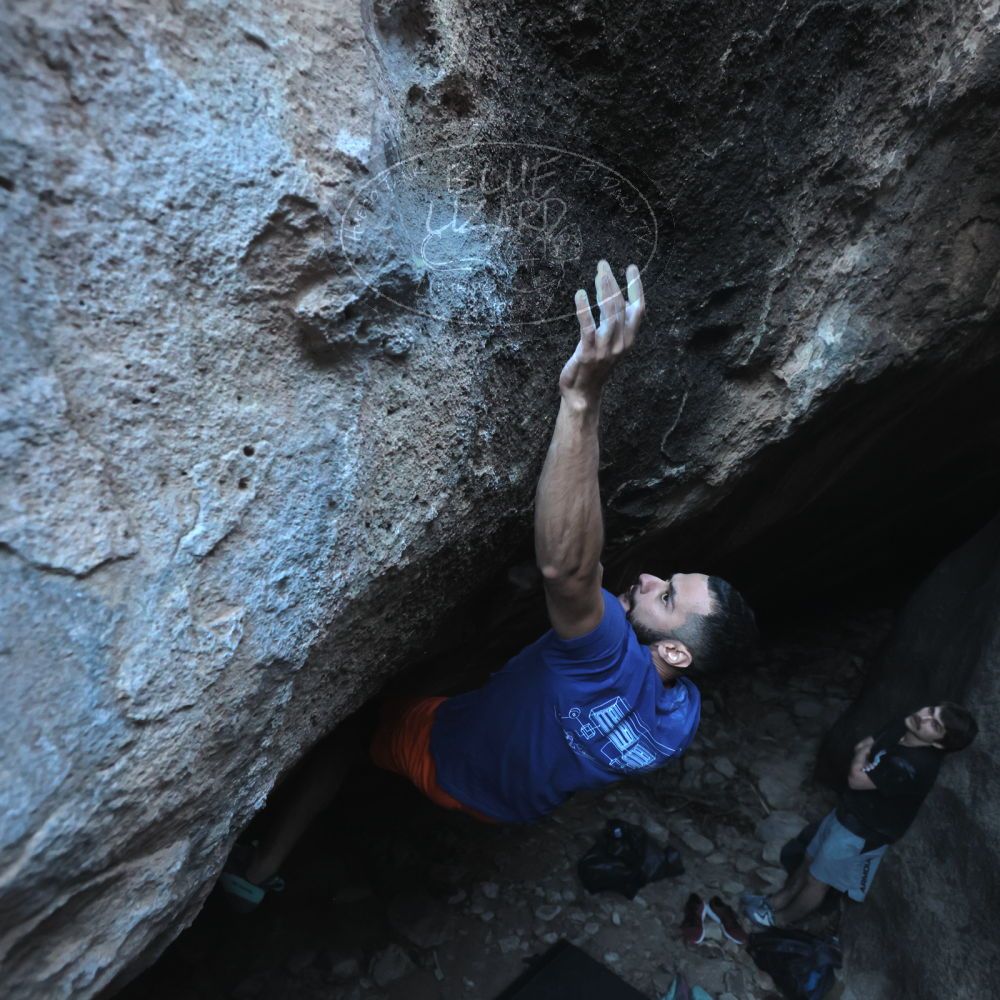 Filename: SRM_20251126_1551450.jpg
Aperture: f/4.0
Shutter Speed: 1/400
Body: Canon EOS R6
Lens: Canon EF 16-35mm f/2.8 L