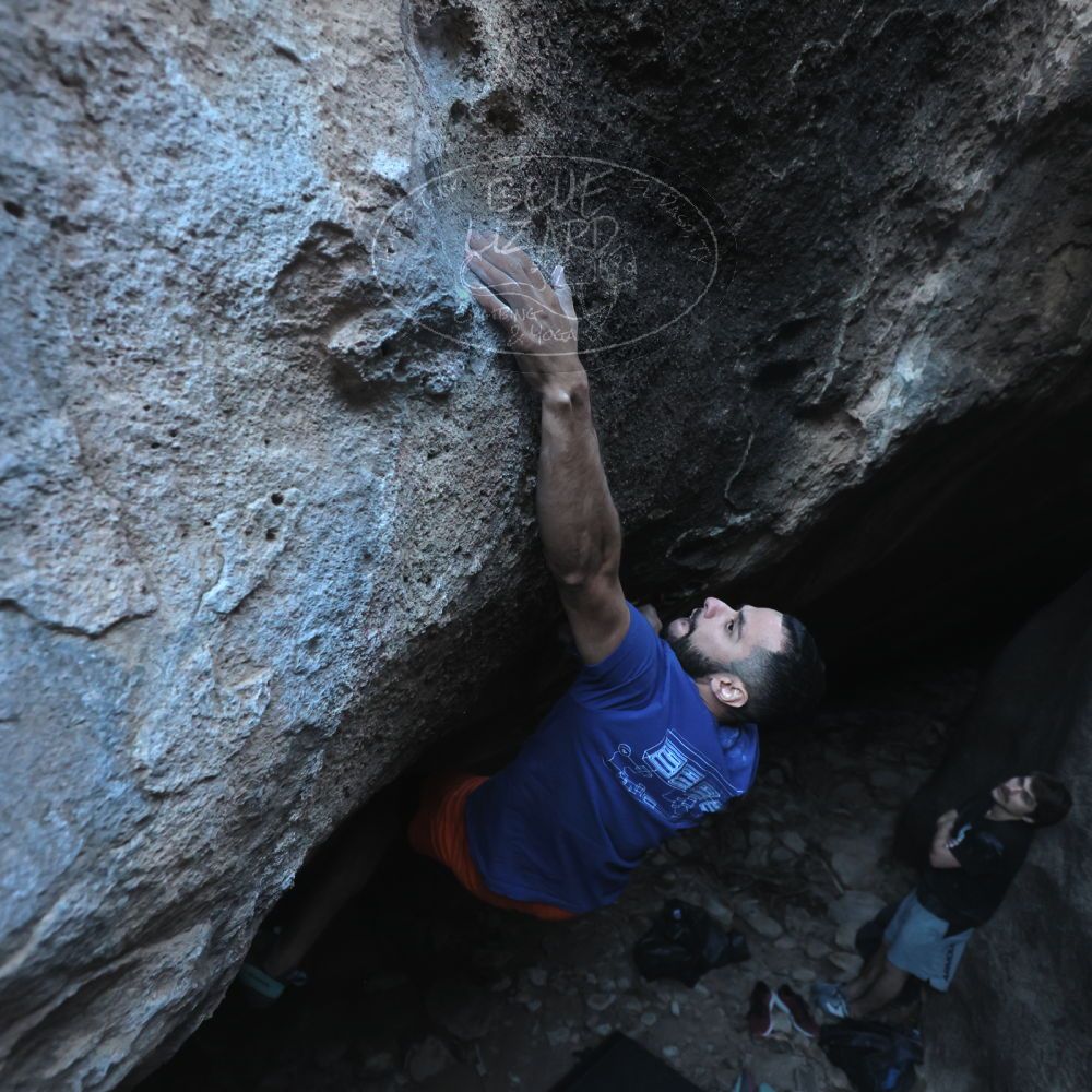 Filename: SRM_20251126_1551451.jpg
Aperture: f/4.0
Shutter Speed: 1/400
Body: Canon EOS R6
Lens: Canon EF 16-35mm f/2.8 L