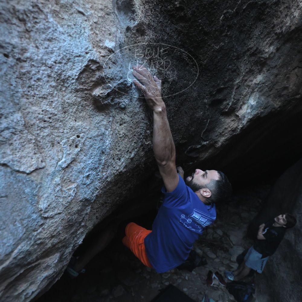 Filename: SRM_20251126_1551453.jpg
Aperture: f/4.0
Shutter Speed: 1/400
Body: Canon EOS R6
Lens: Canon EF 16-35mm f/2.8 L