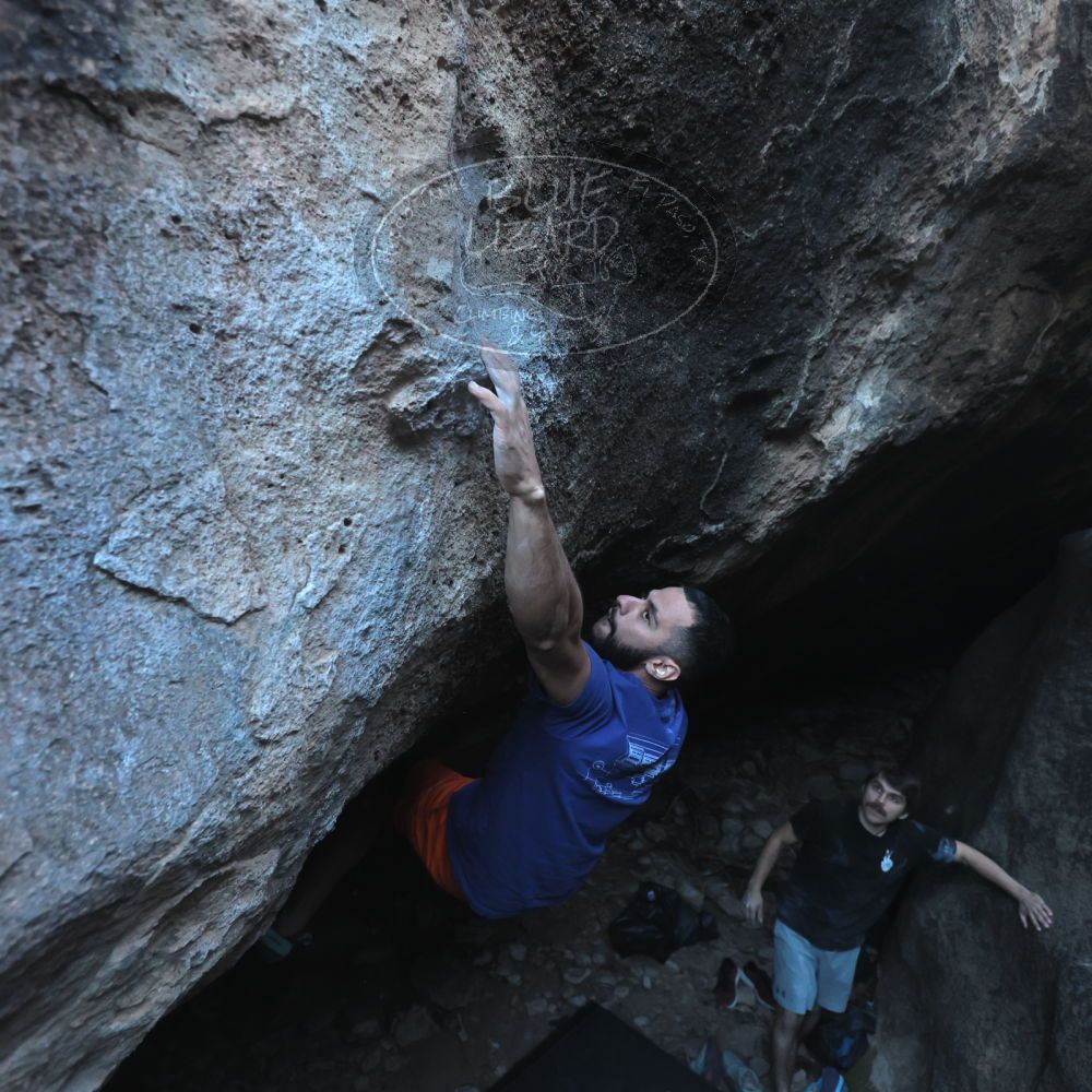 Filename: SRM_20251126_1551480.jpg
Aperture: f/4.0
Shutter Speed: 1/400
Body: Canon EOS R6
Lens: Canon EF 16-35mm f/2.8 L