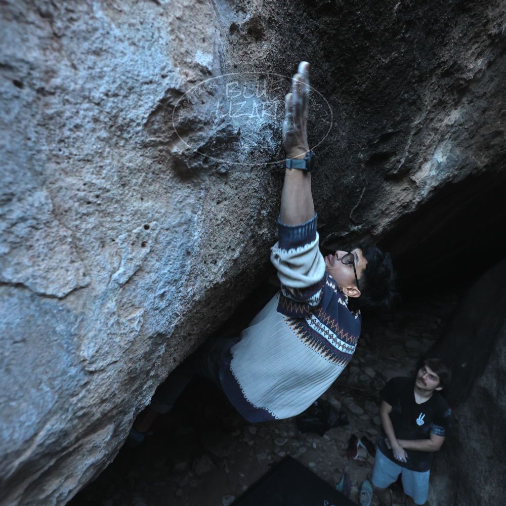 Filename: SRM_20251126_1553410.jpg
Aperture: f/4.0
Shutter Speed: 1/400
Body: Canon EOS R6
Lens: Canon EF 16-35mm f/2.8 L