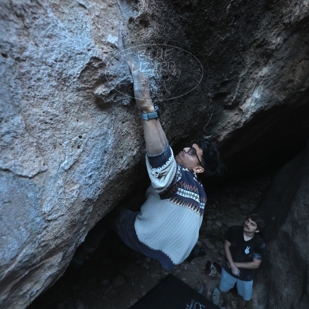 Filename: SRM_20251126_1553440.jpg
Aperture: f/4.0
Shutter Speed: 1/400
Body: Canon EOS R6
Lens: Canon EF 16-35mm f/2.8 L