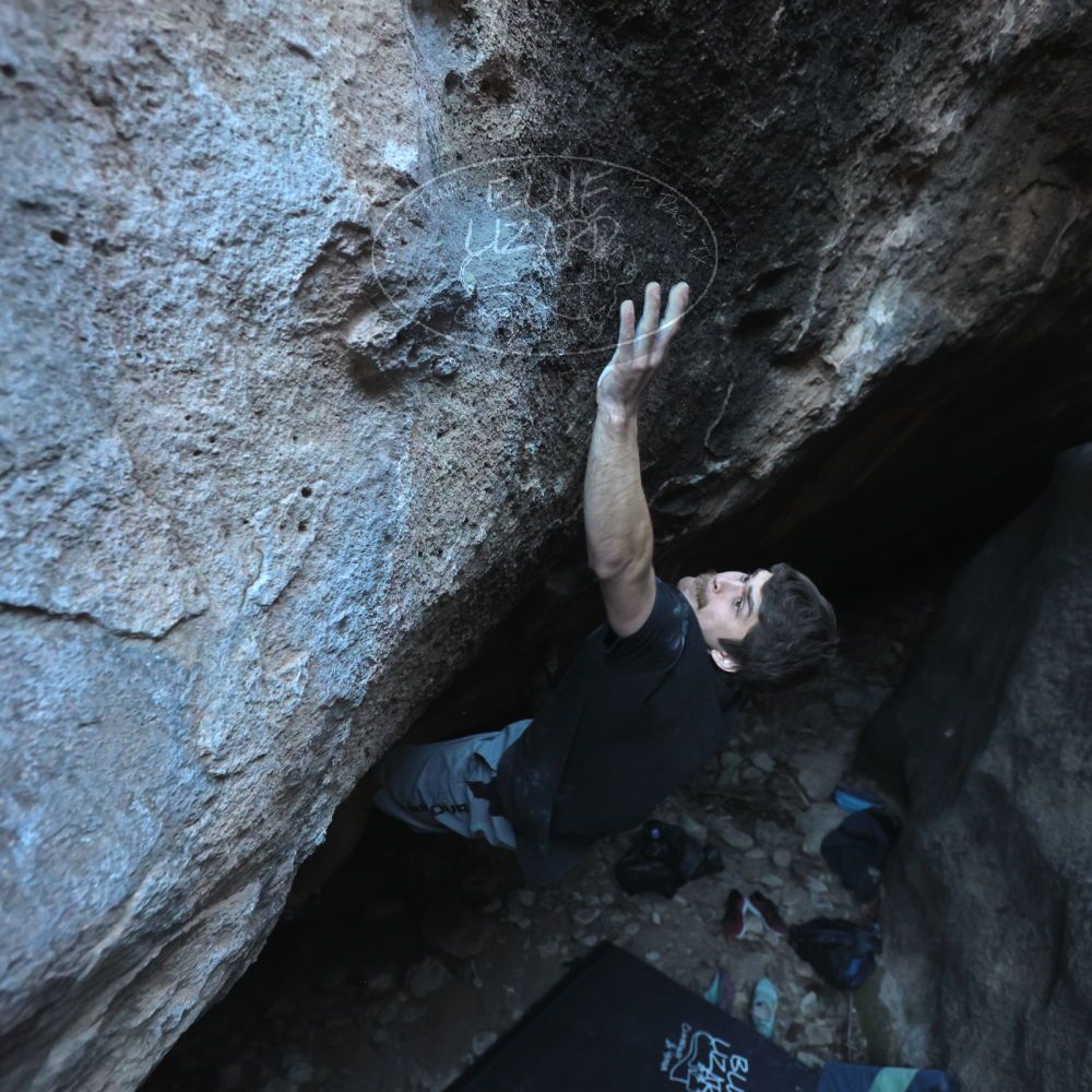 Filename: SRM_20251126_1554470.jpg
Aperture: f/4.0
Shutter Speed: 1/400
Body: Canon EOS R6
Lens: Canon EF 16-35mm f/2.8 L