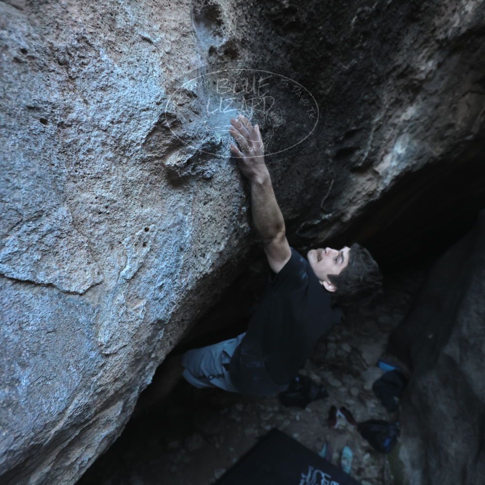 Filename: SRM_20251126_1554471.jpg
Aperture: f/4.0
Shutter Speed: 1/400
Body: Canon EOS R6
Lens: Canon EF 16-35mm f/2.8 L