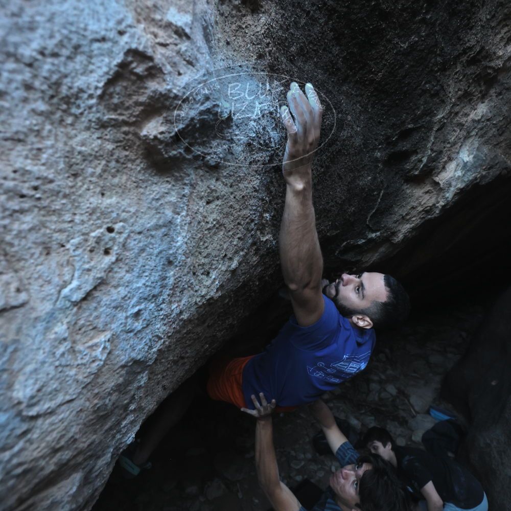 

Filename: SRM_20251126_1555330.jpg
Aperture: f/4.0
Shutter Speed: 1/400
Body: Canon EOS R6
Lens: Canon EF 16-35mm f/2.8 L