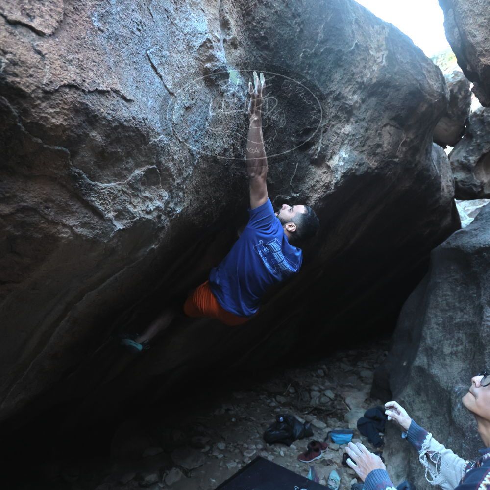 Filename: SRM_20251126_1602270.jpg
Aperture: f/4.0
Shutter Speed: 1/400
Body: Canon EOS R6
Lens: Canon EF 16-35mm f/2.8 L