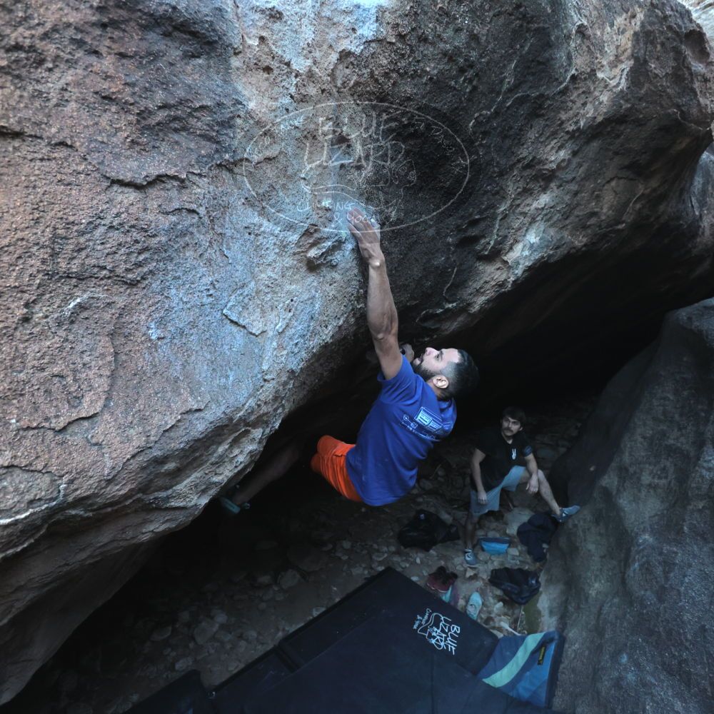 

Filename: SRM_20251126_1604400.jpg
Aperture: f/4.0
Shutter Speed: 1/400
Body: Canon EOS R6
Lens: Canon EF 16-35mm f/2.8 L