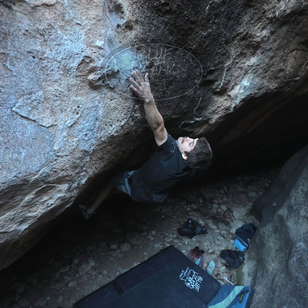 

Filename: SRM_20251126_1606241.jpg
Aperture: f/4.0
Shutter Speed: 1/400
Body: Canon EOS R6
Lens: Canon EF 16-35mm f/2.8 L