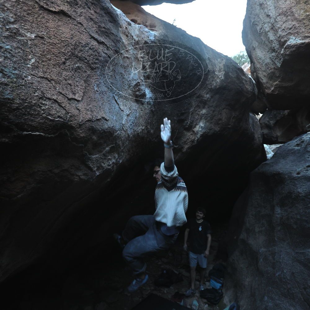 Filename: SRM_20251126_1607450.jpg
Aperture: f/4.0
Shutter Speed: 1/400
Body: Canon EOS R6
Lens: Canon EF 16-35mm f/2.8 L