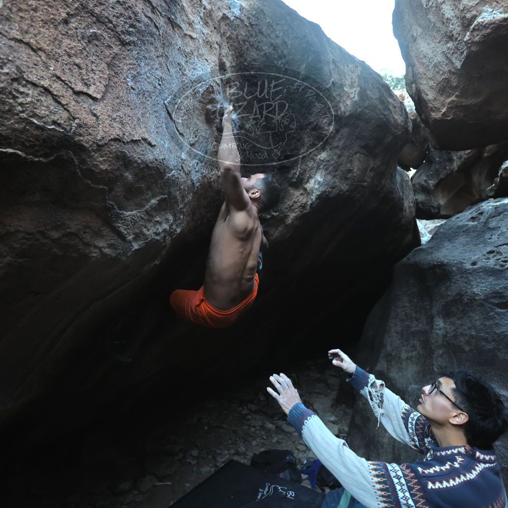 Filename: SRM_20251126_1629560.jpg
Aperture: f/4.0
Shutter Speed: 1/400
Body: Canon EOS R6
Lens: Canon EF 16-35mm f/2.8 L