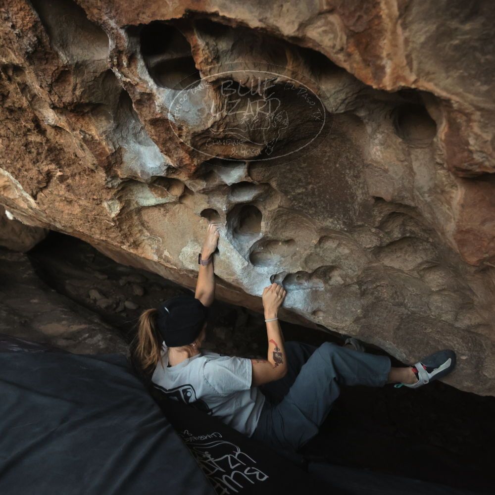 

Filename: SRM_20251126_1710210.jpg
Aperture: f/4.0
Shutter Speed: 1/400
Body: Canon EOS R6
Lens: Canon EF 16-35mm f/2.8 L