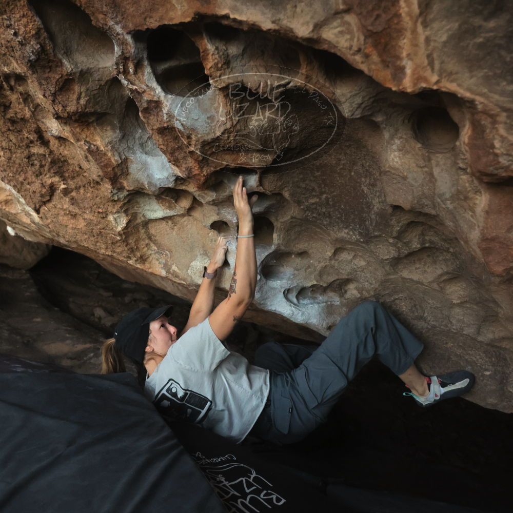 Filename: SRM_20251126_1710230.jpg
Aperture: f/4.0
Shutter Speed: 1/400
Body: Canon EOS R6
Lens: Canon EF 16-35mm f/2.8 L