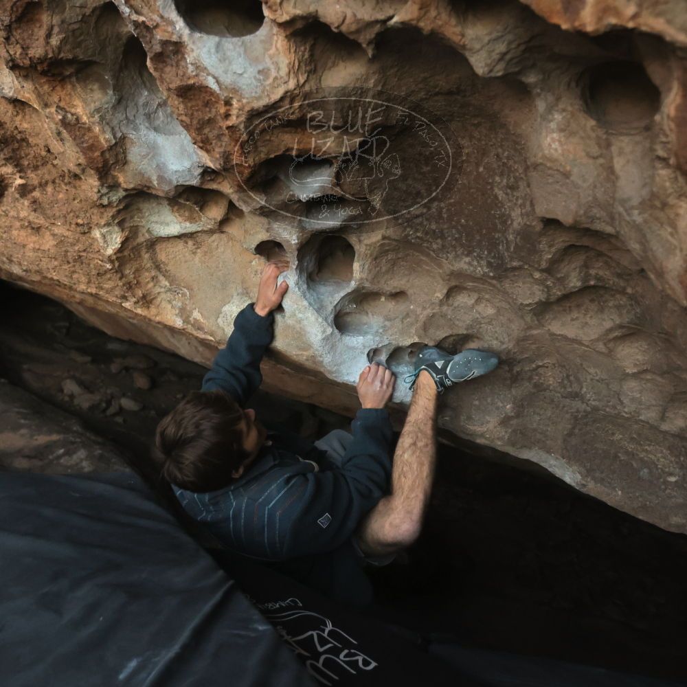 

Filename: SRM_20251126_1711090.jpg
Aperture: f/4.0
Shutter Speed: 1/400
Body: Canon EOS R6
Lens: Canon EF 16-35mm f/2.8 L