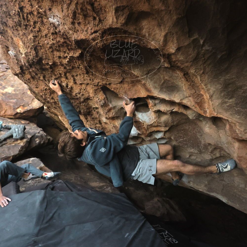 Filename: SRM_20251126_1711160.jpg
Aperture: f/4.0
Shutter Speed: 1/400
Body: Canon EOS R6
Lens: Canon EF 16-35mm f/2.8 L