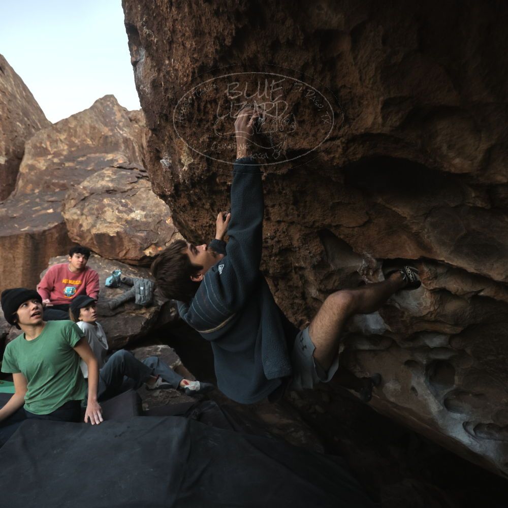 

Filename: SRM_20251126_1711220.jpg
Aperture: f/4.0
Shutter Speed: 1/400
Body: Canon EOS R6
Lens: Canon EF 16-35mm f/2.8 L