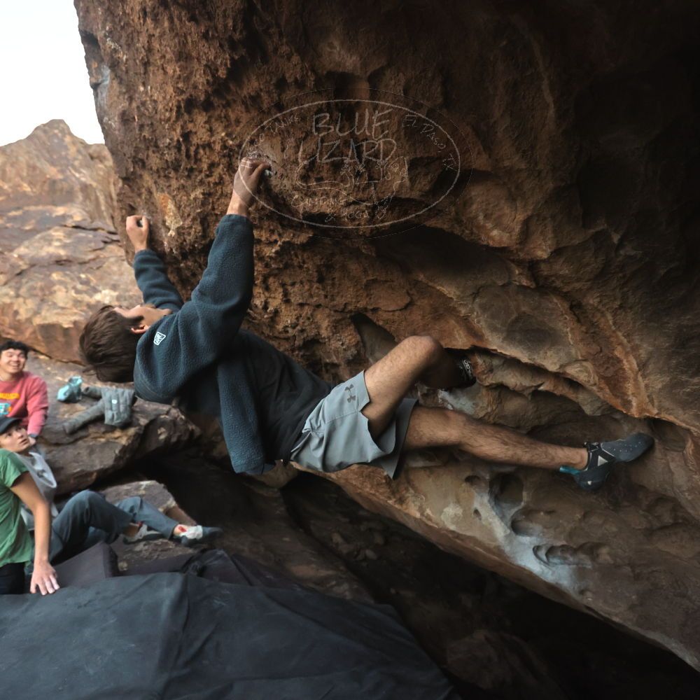 

Filename: SRM_20251126_1711240.jpg
Aperture: f/4.0
Shutter Speed: 1/400
Body: Canon EOS R6
Lens: Canon EF 16-35mm f/2.8 L