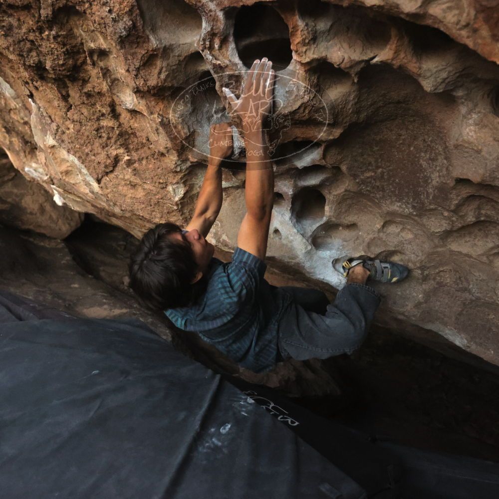 

Filename: SRM_20251126_1713190.jpg
Aperture: f/4.0
Shutter Speed: 1/400
Body: Canon EOS R6
Lens: Canon EF 16-35mm f/2.8 L