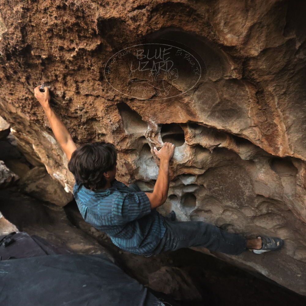 Filename: SRM_20251126_1713240.jpg
Aperture: f/4.0
Shutter Speed: 1/400
Body: Canon EOS R6
Lens: Canon EF 16-35mm f/2.8 L