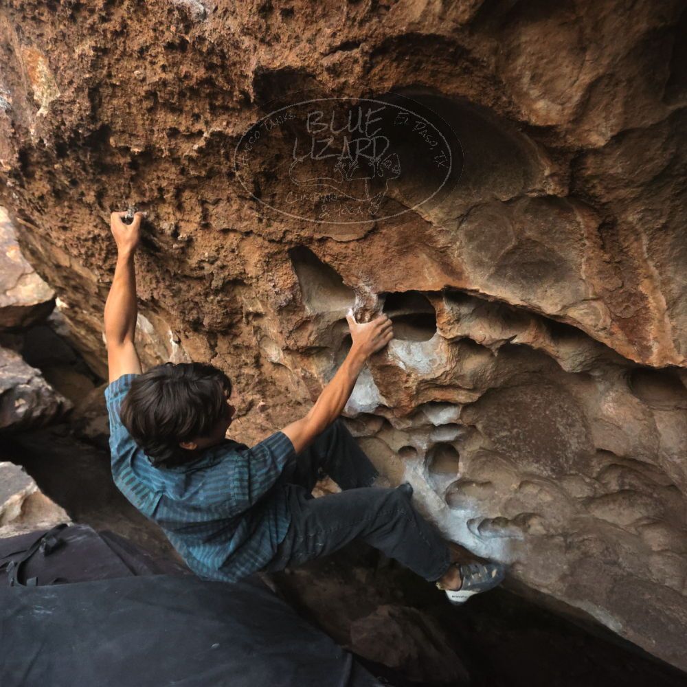 Filename: SRM_20251126_1713260.jpg
Aperture: f/4.0
Shutter Speed: 1/400
Body: Canon EOS R6
Lens: Canon EF 16-35mm f/2.8 L