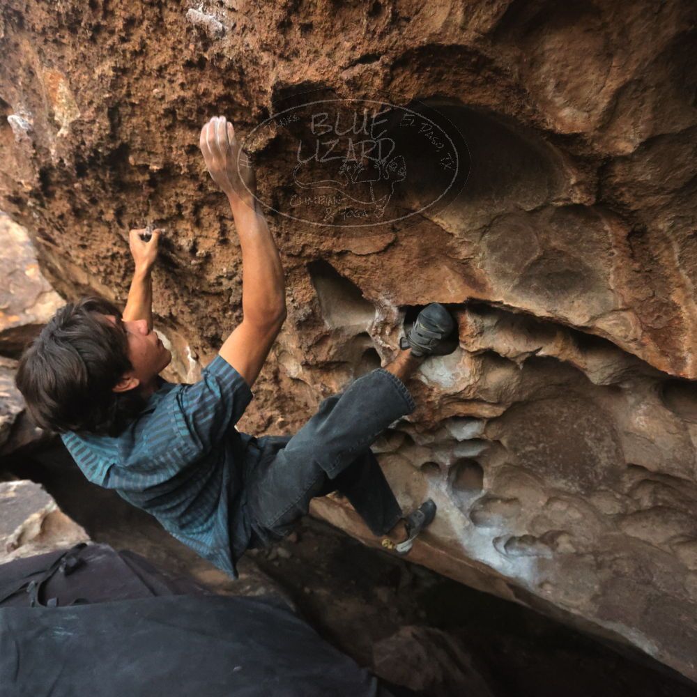 

Filename: SRM_20251126_1713280.jpg
Aperture: f/4.0
Shutter Speed: 1/400
Body: Canon EOS R6
Lens: Canon EF 16-35mm f/2.8 L