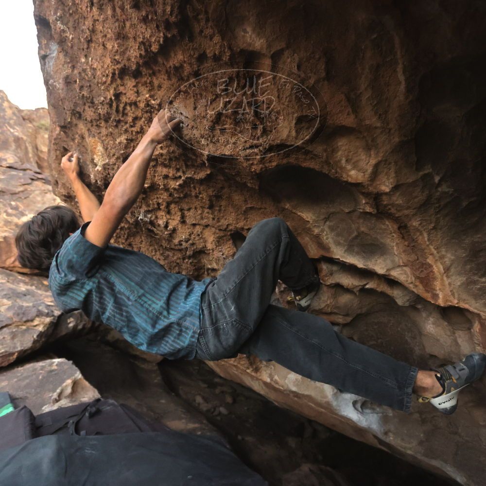 

Filename: SRM_20251126_1713320.jpg
Aperture: f/4.0
Shutter Speed: 1/400
Body: Canon EOS R6
Lens: Canon EF 16-35mm f/2.8 L