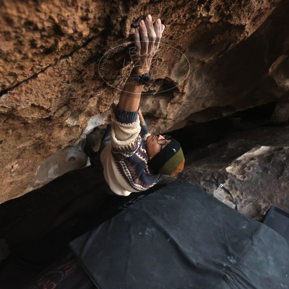 

Filename: SRM_20251126_1714540.jpg
Aperture: f/4.0
Shutter Speed: 1/400
Body: Canon EOS R6
Lens: Canon EF 16-35mm f/2.8 L