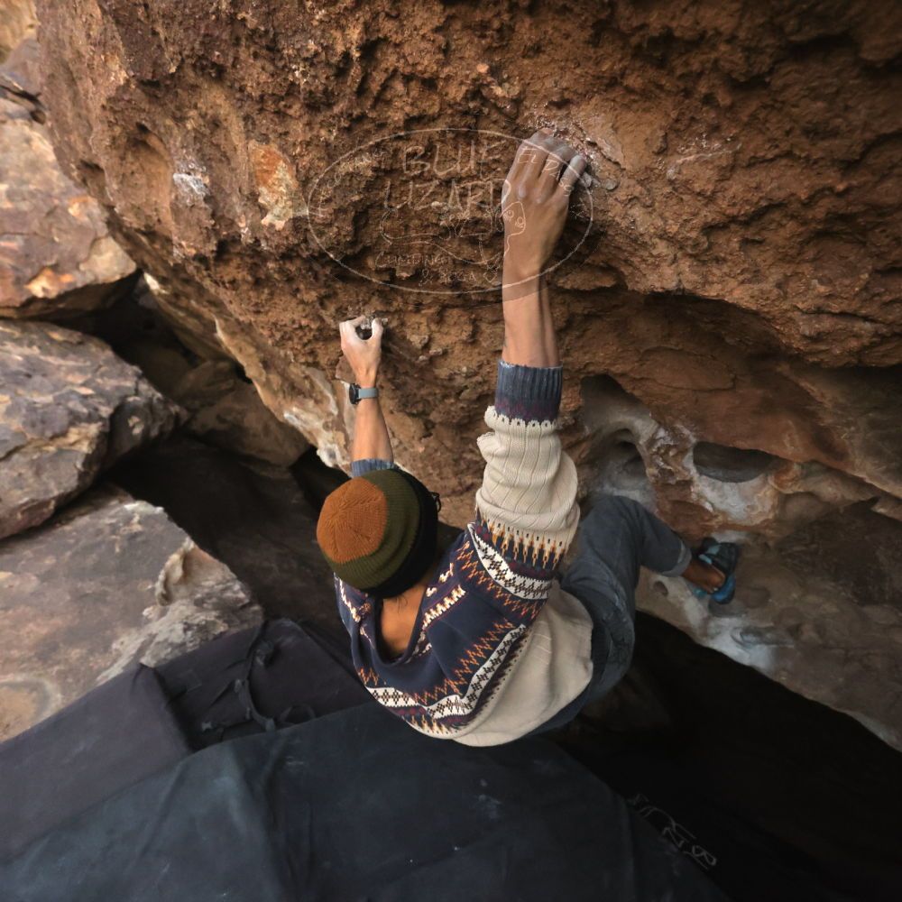 

Filename: SRM_20251126_1714590.jpg
Aperture: f/4.0
Shutter Speed: 1/400
Body: Canon EOS R6
Lens: Canon EF 16-35mm f/2.8 L