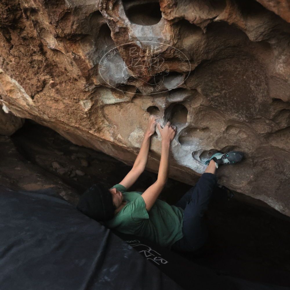 Filename: SRM_20251126_1716470.jpg
Aperture: f/4.0
Shutter Speed: 1/400
Body: Canon EOS R6
Lens: Canon EF 16-35mm f/2.8 L