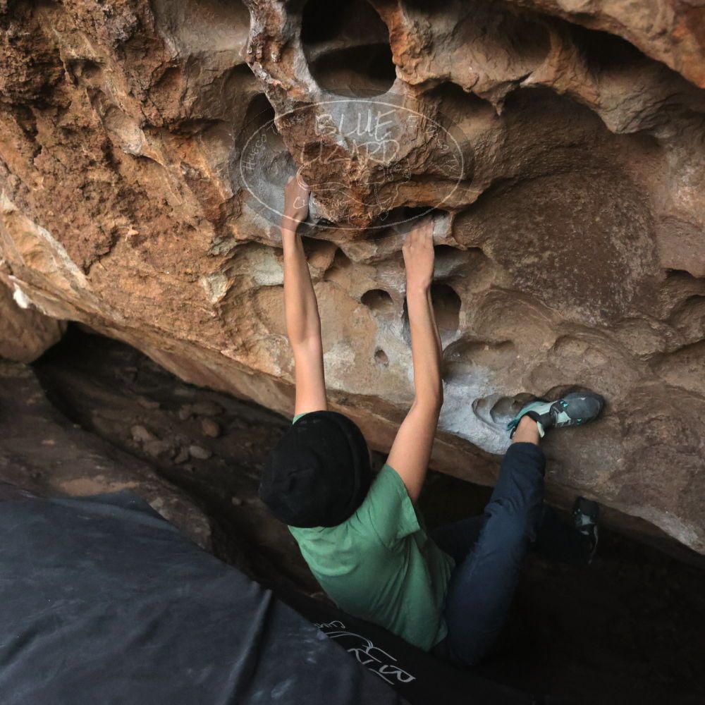 Filename: SRM_20251126_1716500.jpg
Aperture: f/4.0
Shutter Speed: 1/250
Body: Canon EOS R6
Lens: Canon EF 16-35mm f/2.8 L