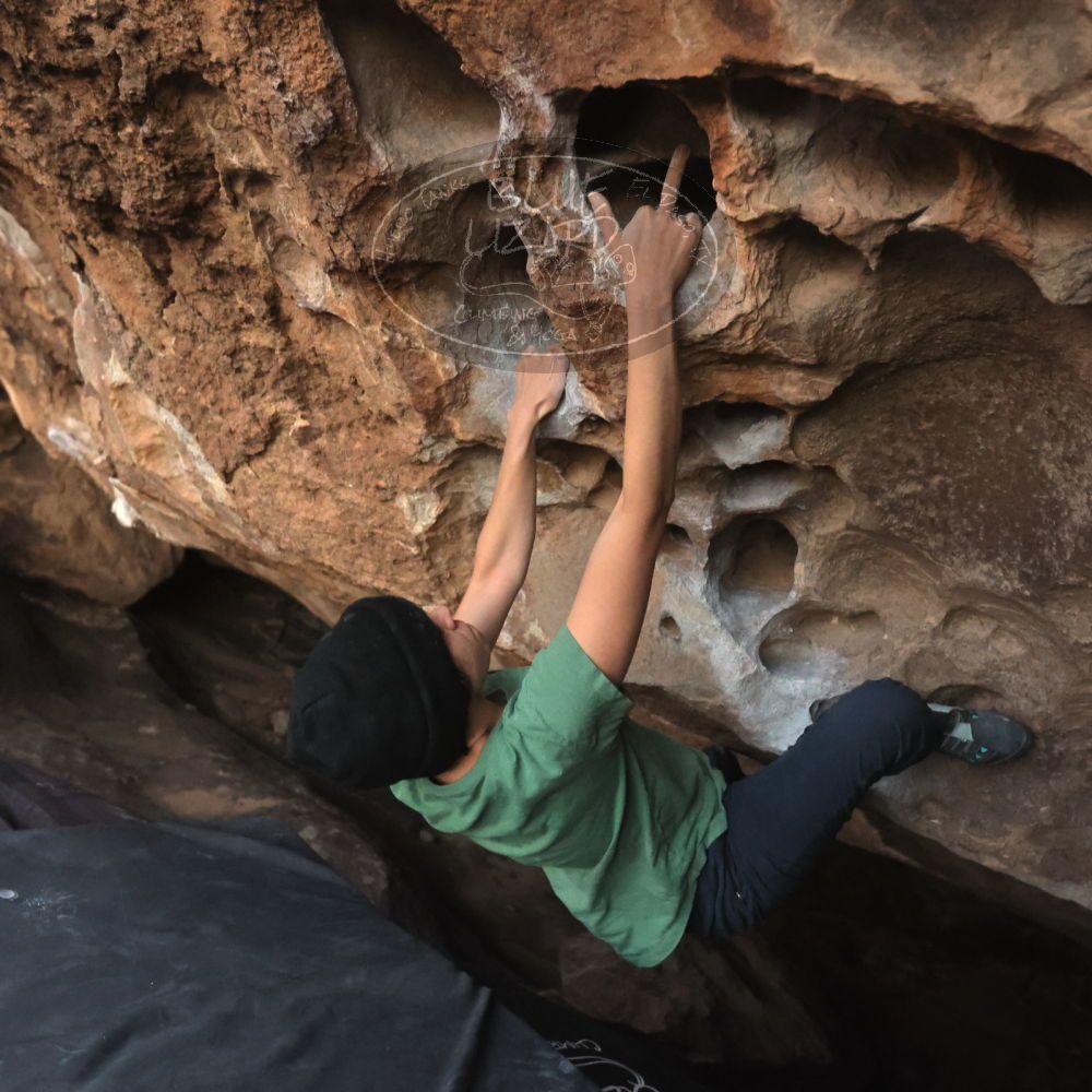 Filename: SRM_20251126_1716520.jpg
Aperture: f/4.0
Shutter Speed: 1/250
Body: Canon EOS R6
Lens: Canon EF 16-35mm f/2.8 L