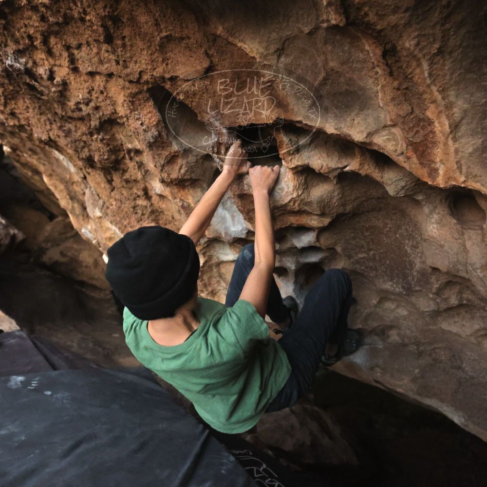 Filename: SRM_20251126_1717000.jpg
Aperture: f/4.0
Shutter Speed: 1/250
Body: Canon EOS R6
Lens: Canon EF 16-35mm f/2.8 L