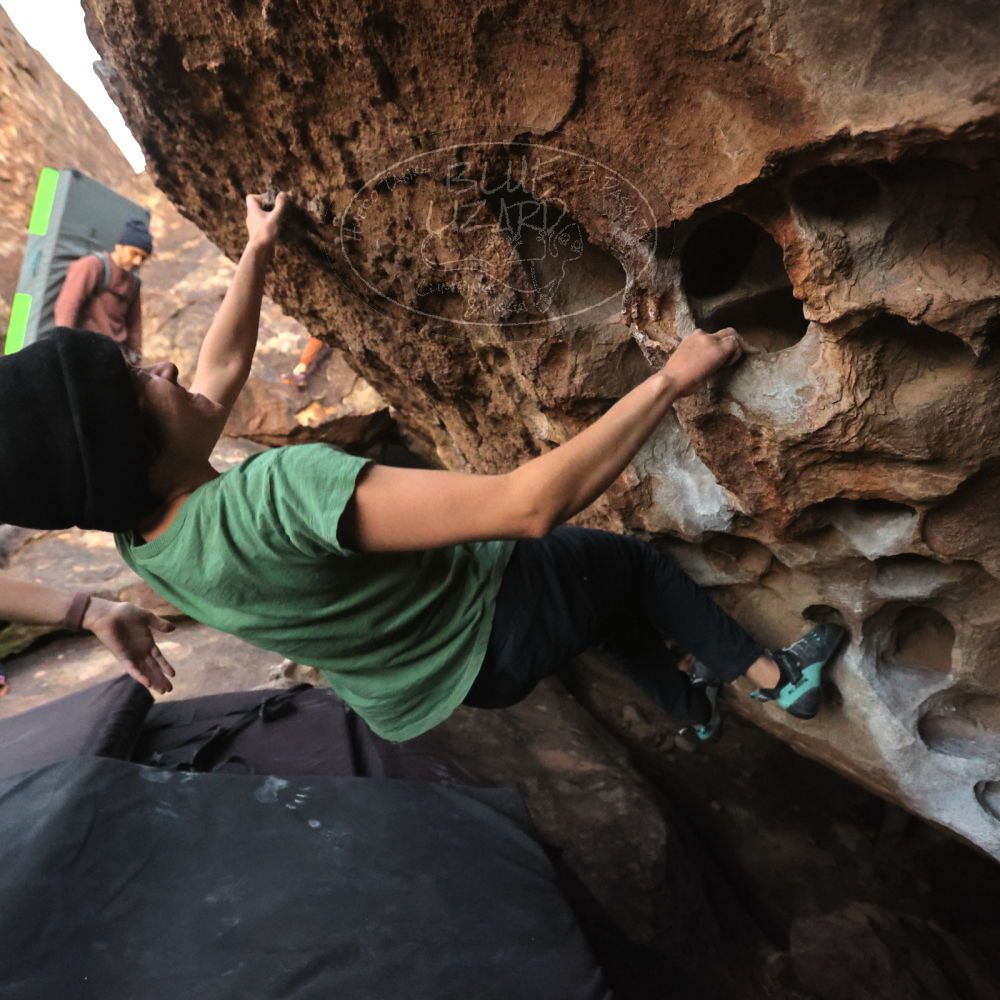 Filename: SRM_20251126_1717270.jpg
Aperture: f/4.0
Shutter Speed: 1/250
Body: Canon EOS R6
Lens: Canon EF 16-35mm f/2.8 L