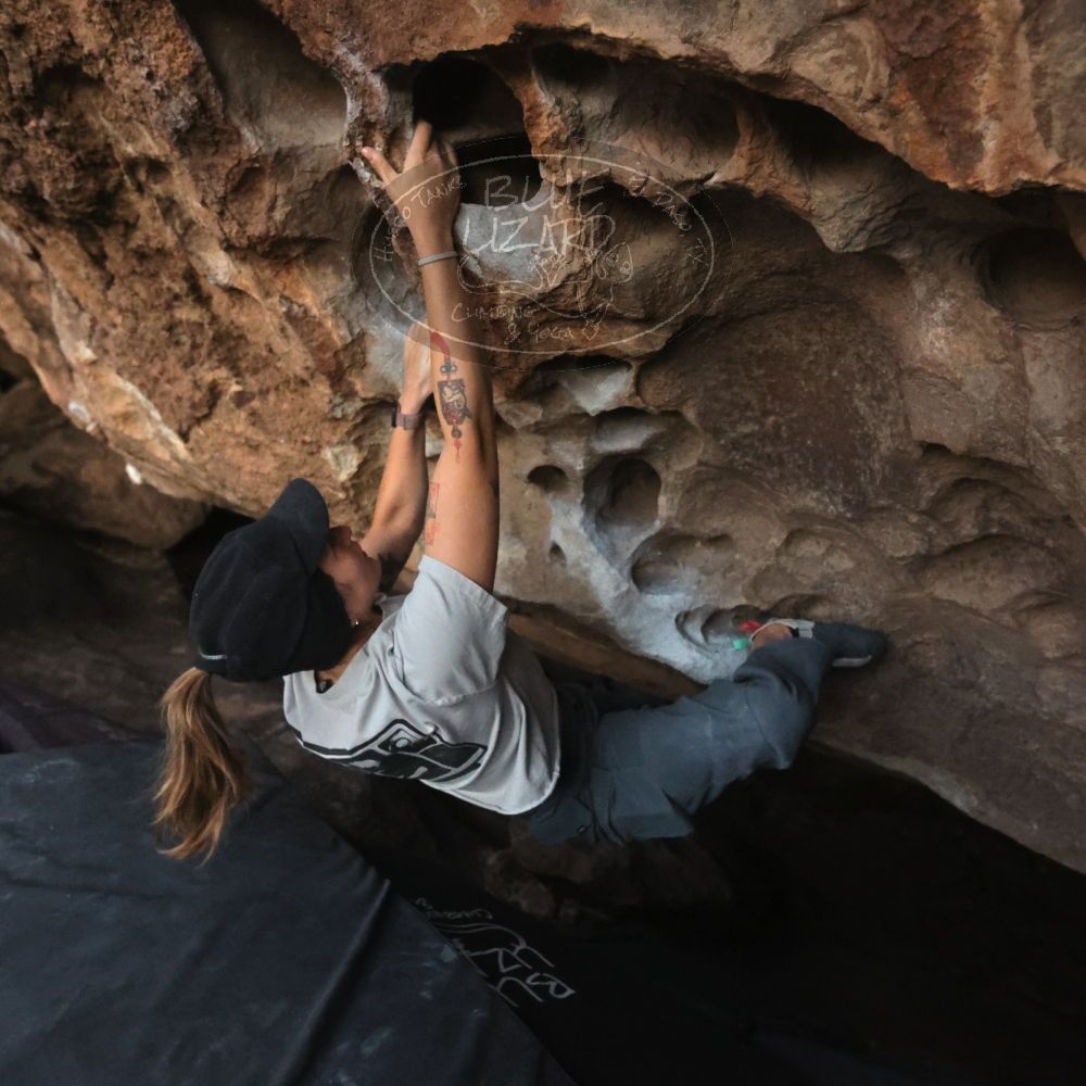 Filename: SRM_20251126_1718330.jpg
Aperture: f/4.0
Shutter Speed: 1/250
Body: Canon EOS R6
Lens: Canon EF 16-35mm f/2.8 L