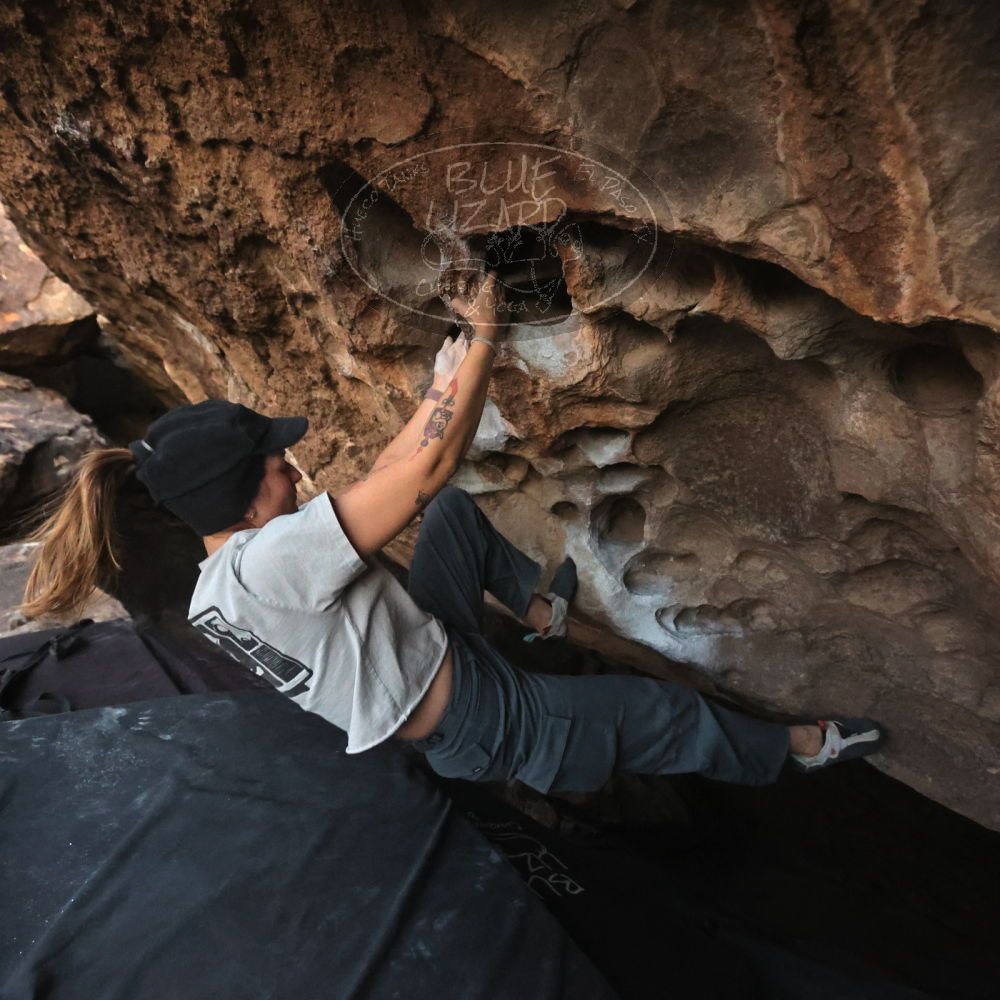 

Filename: SRM_20251126_1718380.jpg
Aperture: f/4.0
Shutter Speed: 1/250
Body: Canon EOS R6
Lens: Canon EF 16-35mm f/2.8 L